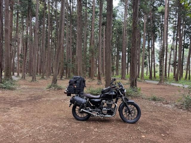 ＆GREEN龍ケ崎🏕️